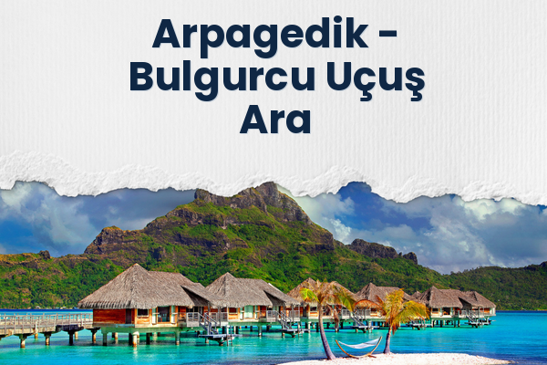 Arpagedik → Bulgurcu Uçuş Ara