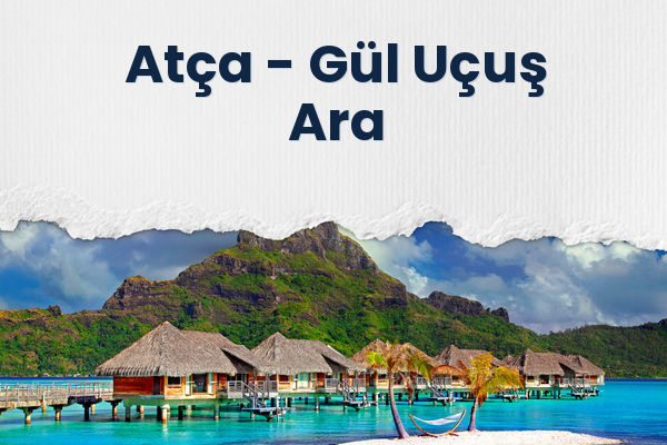 Atça → Gül Uçuş Ara