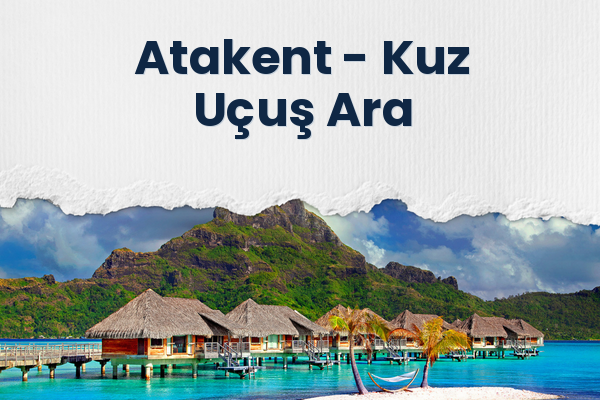 Atakent → Kuz Uçuş Ara
