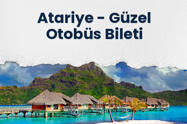 Atariye → Güzel Otobüs Bileti