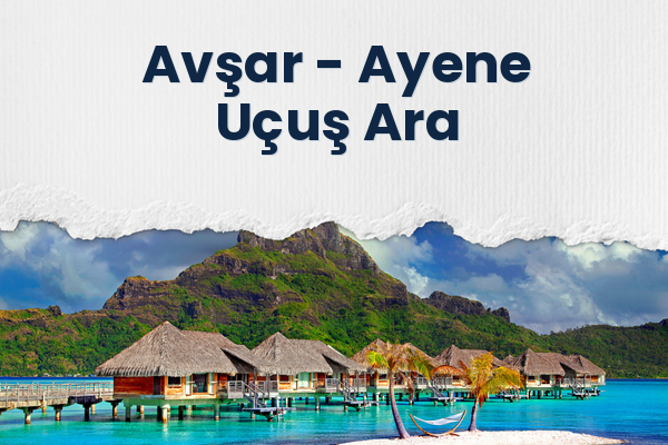 Avşar → Ayene Uçuş Ara