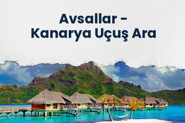 Avsallar → Kanarya Uçuş Ara