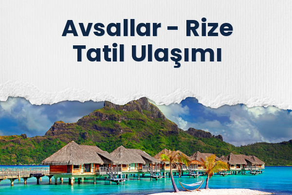 Avsallar → Rize Tatil Ulaşımı