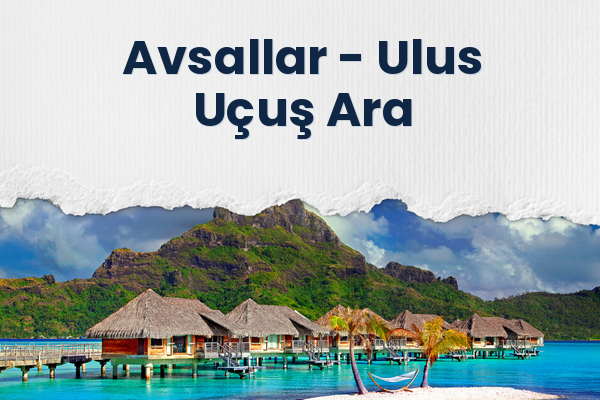 Avsallar → Ulus Uçuş Ara