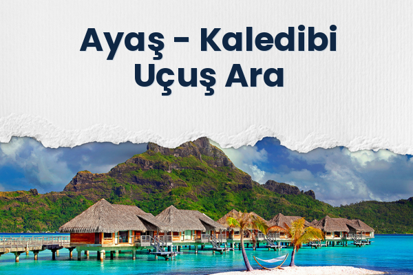 Ayaş → Kaledibi Uçuş Ara