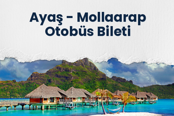 Ayaş → Mollaarap Otobüs Bileti