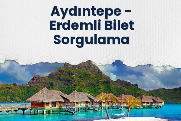 Aydıntepe → Erdemli Bilet Sorgulama