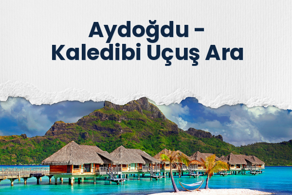 Aydoğdu → Kaledibi Uçuş Ara