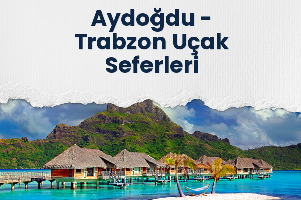Aydoğdu → Trabzon Uçak Seferleri