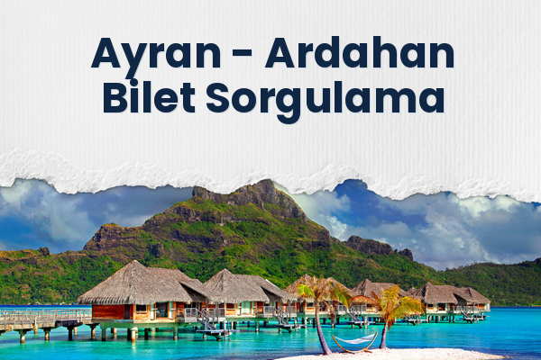 Ayran → Ardahan Bilet Sorgulama