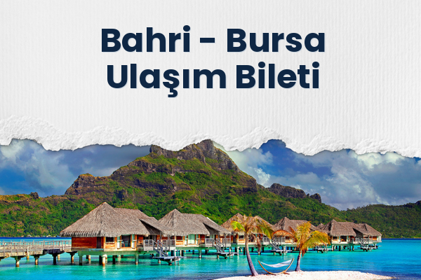 Bahri → Bursa Ulaşım Bileti