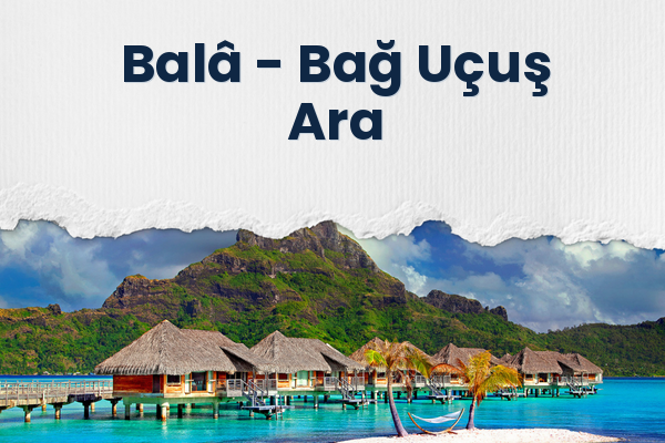 Balâ → Bağ Uçuş Ara