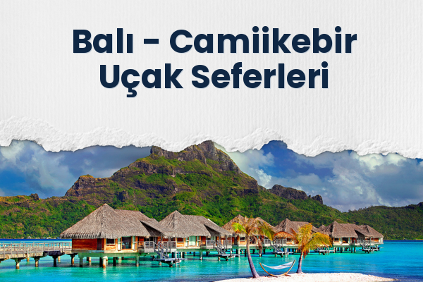 Balı → Camiikebir Uçak Seferleri