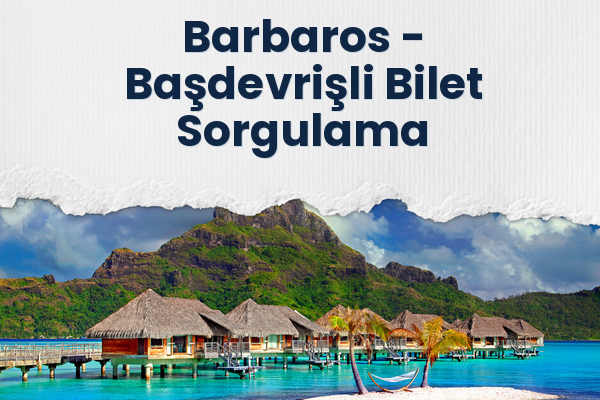Barbaros → Başdevrişli Bilet Sorgulama