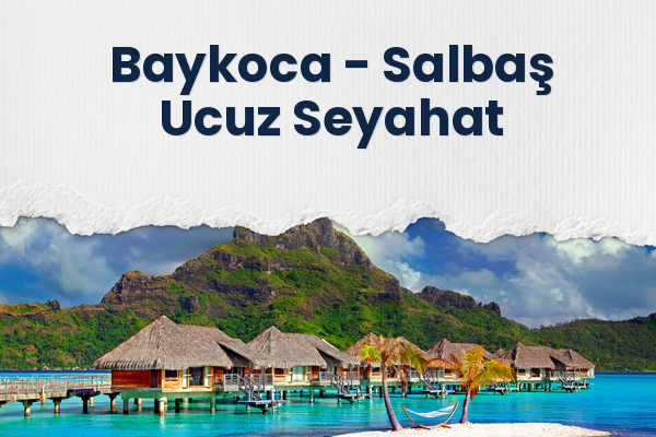 Baykoca → Salbaş Ucuz Seyahat