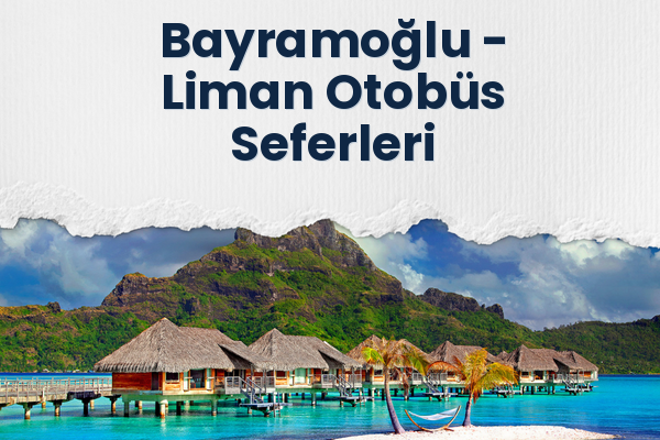 Bayramoğlu → Liman Otobüs Seferleri