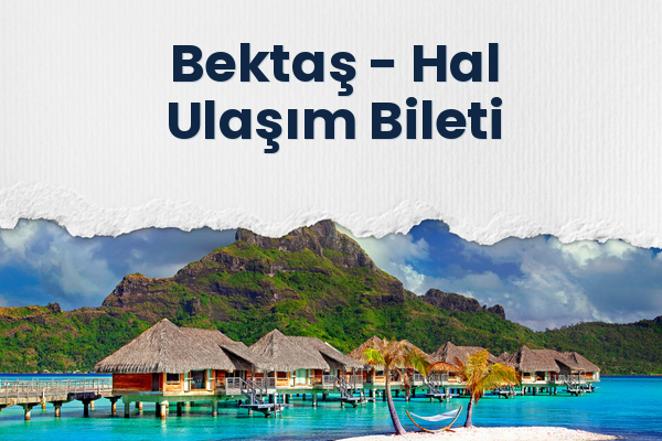 Bektaş → Hal Ulaşım Bileti