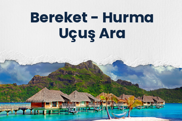 Bereket → Hurma Uçuş Ara