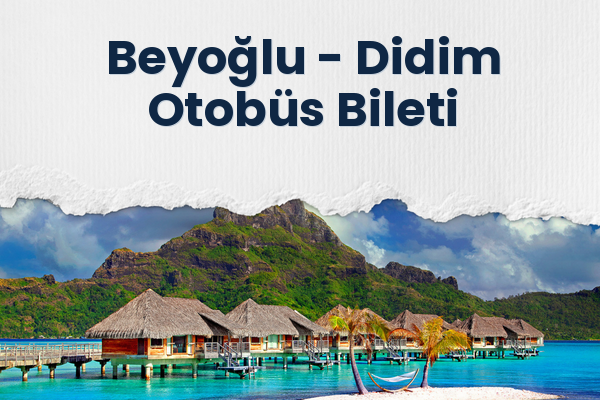 Beyoğlu → Didim Otobüs Bileti