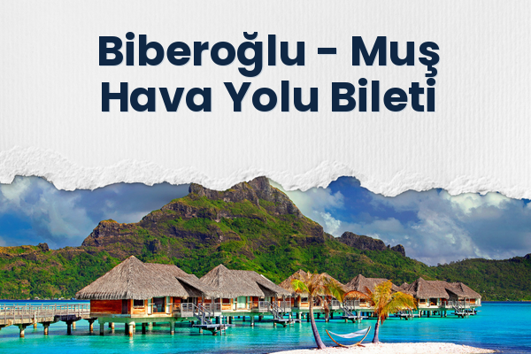 Biberoğlu → Muş Hava Yolu Bileti