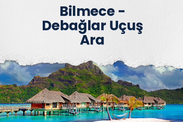 Bilmece → Debağlar Uçuş Ara