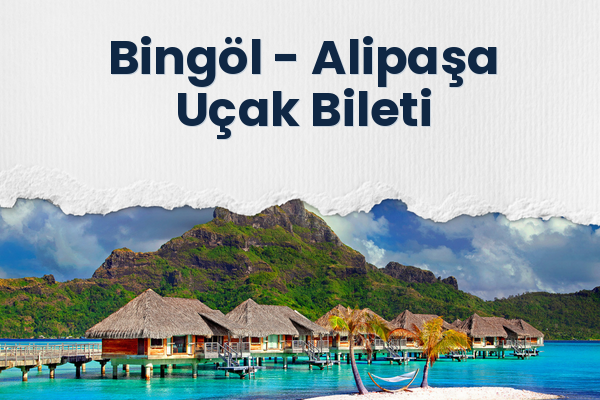 Bingöl → Alipaşa Uçak Bileti