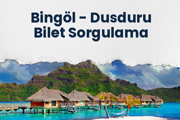 Bingöl → Dusduru Bilet Sorgulama