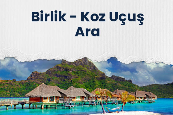 Birlik → Koz Uçuş Ara