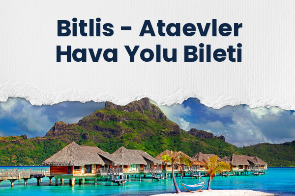 Bitlis → Ataevler Hava Yolu Bileti