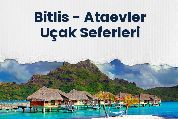 Bitlis → Ataevler Uçak Seferleri