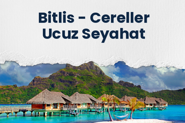 Bitlis → Cereller Ucuz Seyahat