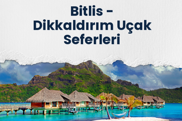 Bitlis → Dikkaldırım Uçak Seferleri