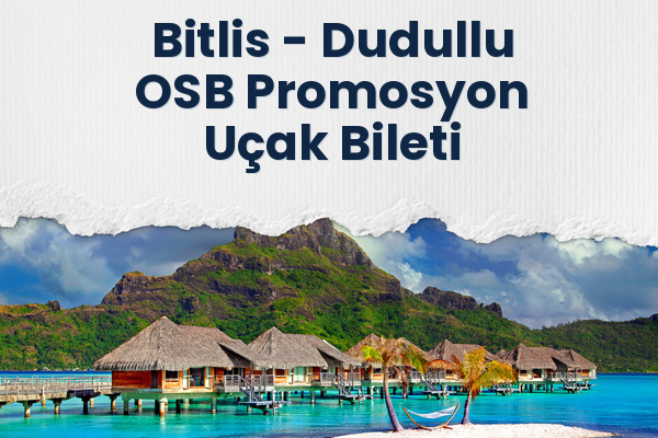 Bitlis → Dudullu OSB Promosyon Uçak Bileti