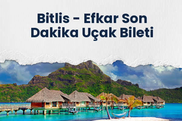 Bitlis → Efkar Son Dakika Uçak Bileti