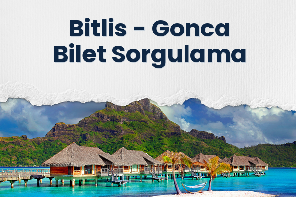 Bitlis → Gonca Bilet Sorgulama