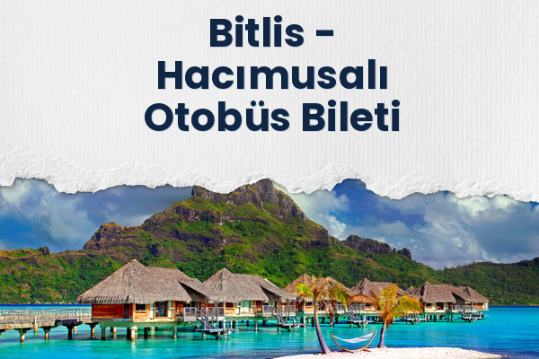 Bitlis → Hacımusalı Otobüs Bileti