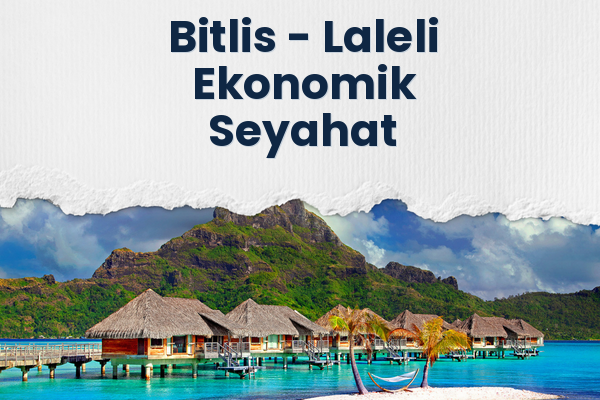 Bitlis → Laleli Ekonomik Seyahat