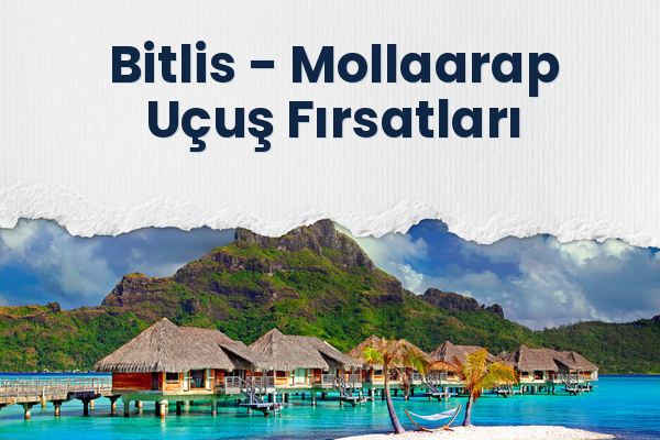 Bitlis → Mollaarap Uçuş Fırsatları