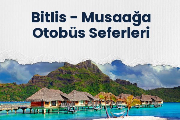 Bitlis → Musaağa Otobüs Seferleri