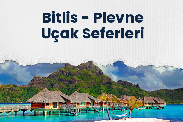 Bitlis → Plevne Uçak Seferleri