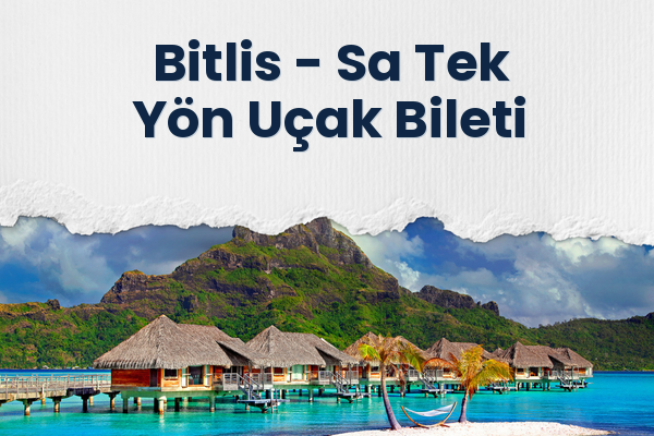 Bitlis → Sa Tek Yön Uçak Bileti