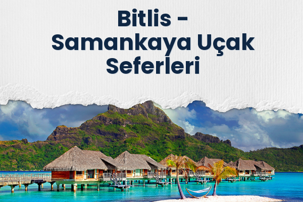 Bitlis → Samankaya Uçak Seferleri