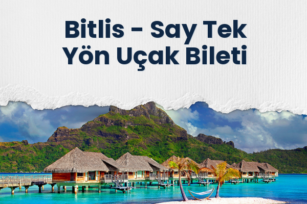 Bitlis → Say Tek Yön Uçak Bileti