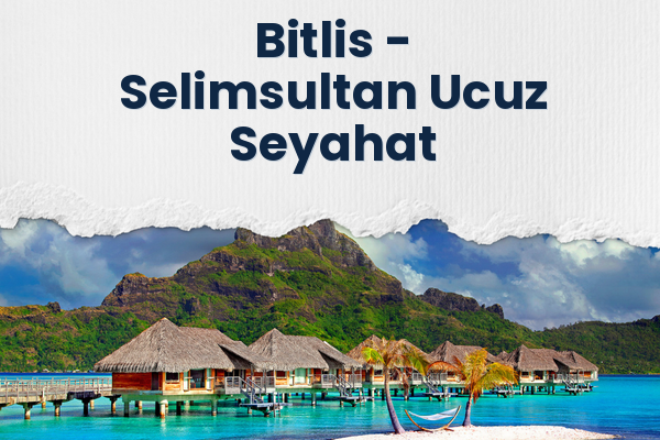 Bitlis → Selimsultan Ucuz Seyahat