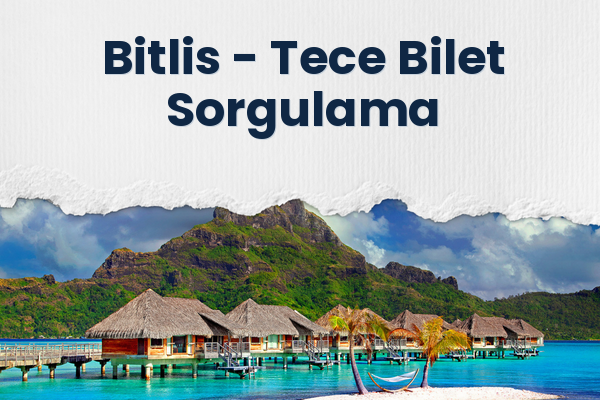 Bitlis → Tece Bilet Sorgulama