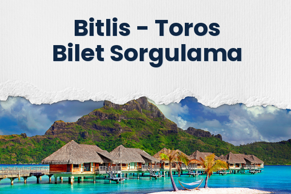 Bitlis → Toros Bilet Sorgulama
