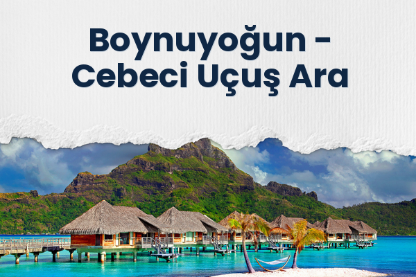 Boynuyoğun → Cebeci Uçuş Ara