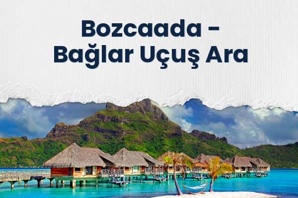 Bozcaada → Bağlar Uçuş Ara