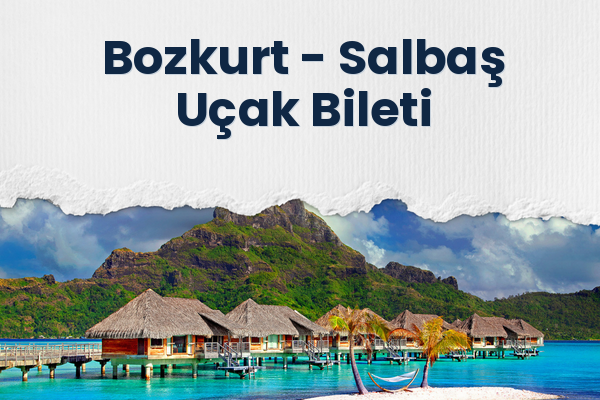 Bozkurt → Salbaş Uçak Bileti