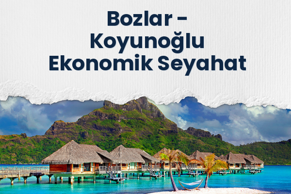 Bozlar → Koyunoğlu Ekonomik Seyahat